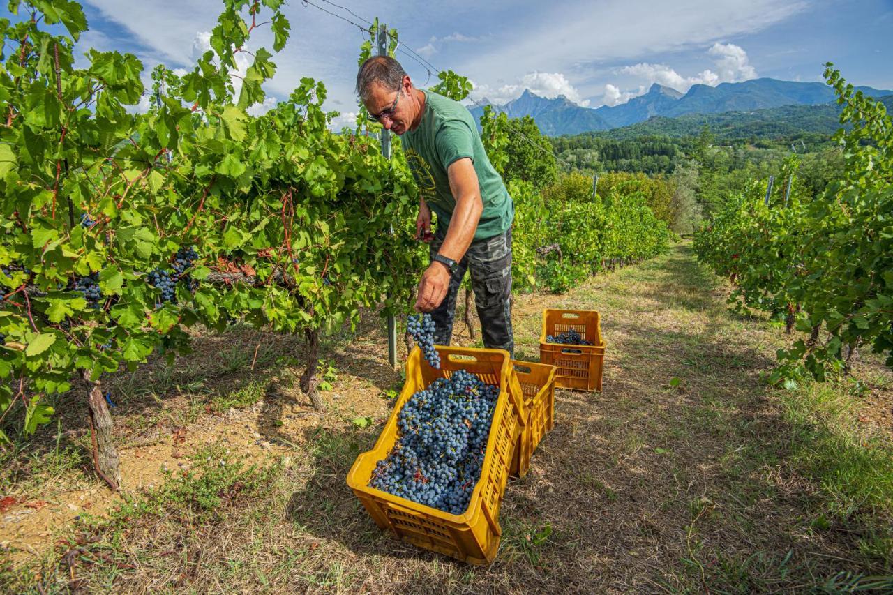 Agriturismo Il Bardellino Fivizzano Εξωτερικό φωτογραφία