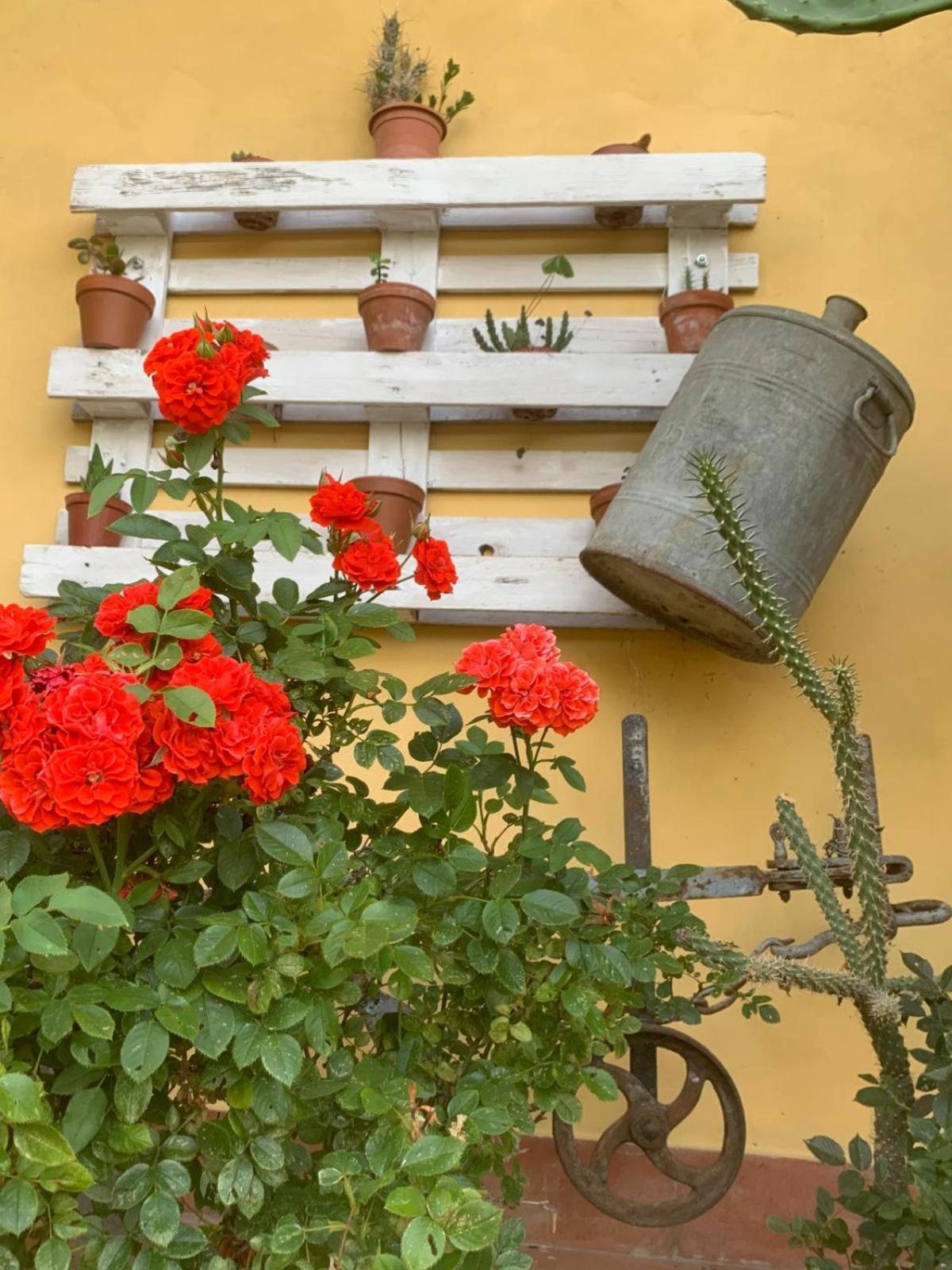 Agriturismo Il Bardellino Fivizzano Εξωτερικό φωτογραφία